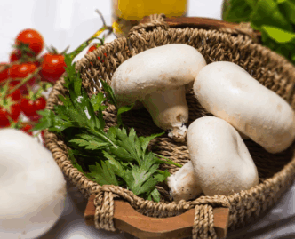 funghi freschi nel lazio