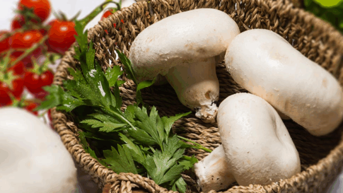 funghi freschi nel lazio